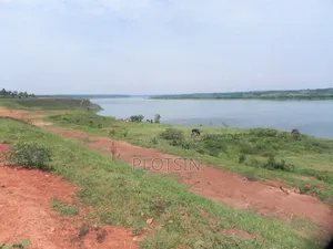 3 Acres Touching the River Nile for Sale – Matumu, Kamuli, Ugx I 120m