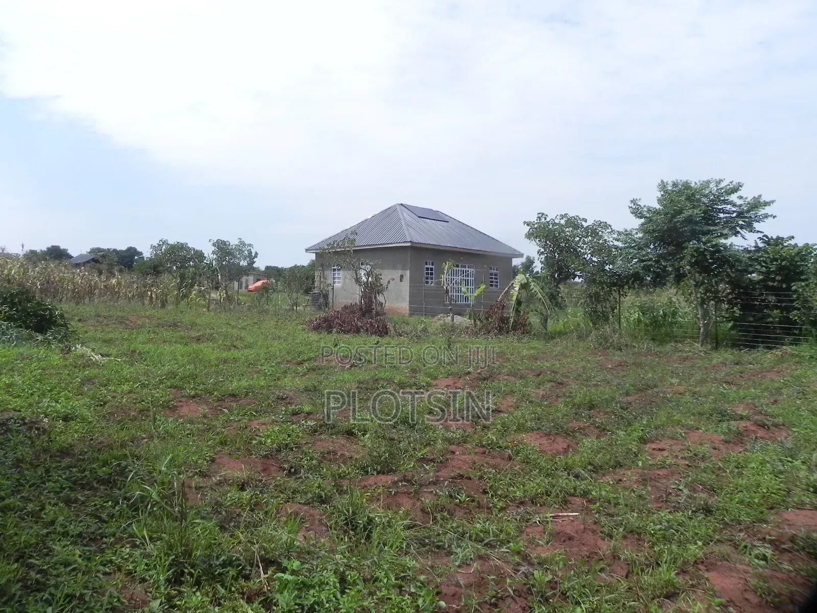 3 Acres Touching the River Nile for Sale – Matumu, Kamuli, Ugx I 120m