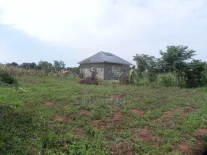 3 Acres Touching the River Nile for Sale – Matumu, Kamuli, Ugx I 120m