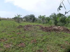3 Acres Touching the River Nile for Sale – Matumu, Kamuli, Ugx I 120m