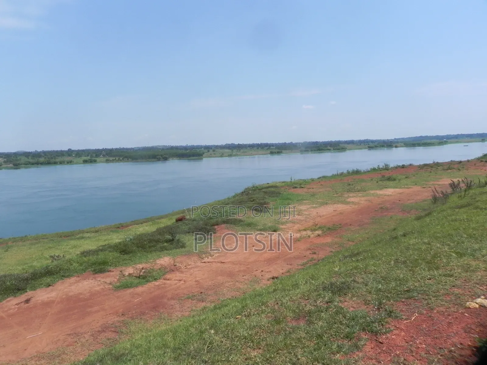 3 Acres Touching the River Nile for Sale – Matumu, Kamuli, Ugx I 120m