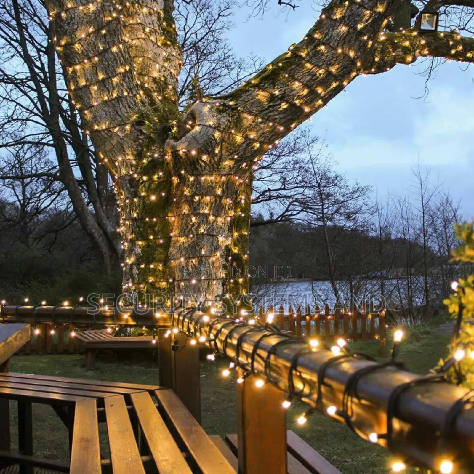 Led Lights 50 Meters for Christmas Decoration Both Indoor and Outdoor