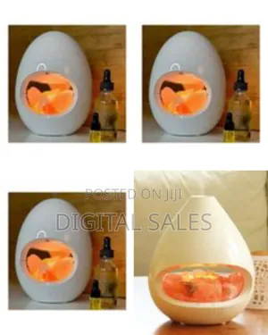 2-in-1 Himalayan Salt Lamp and Ultrasonic Aroma Diffuser in Central ...