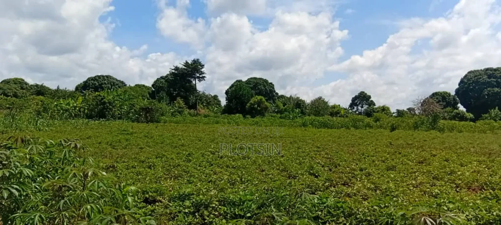 5 Acres of Land at 5.5m Per Acre– Makanga, Buyende District