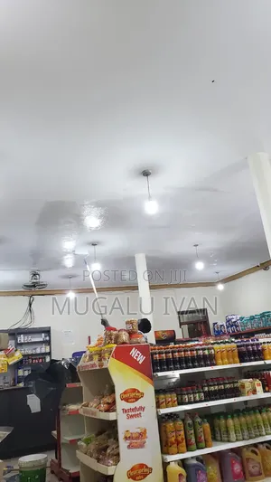 Skilled Painters