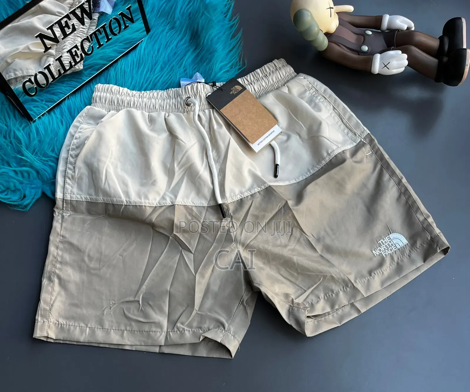 North Face Dri Shorts