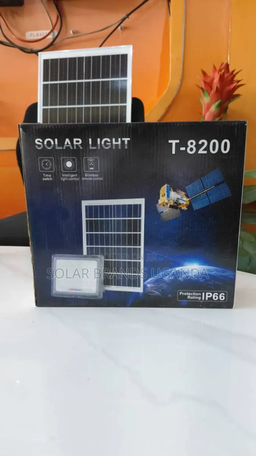 Solar Light + Panel