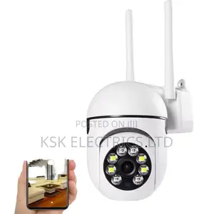 Mini Wifi Indoor/Outdoor Wireless PTZ Camera