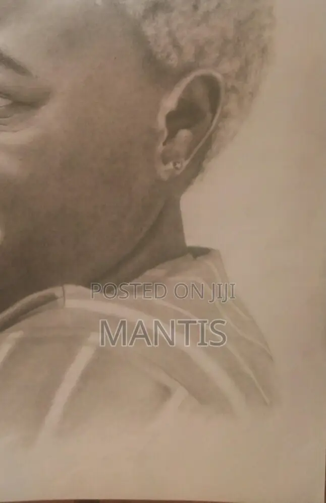 Portrait Drawings
