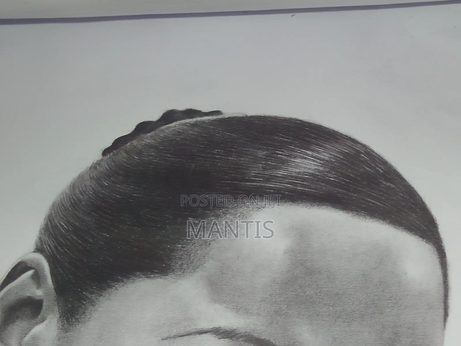 Portrait Drawings