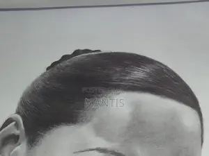 Portrait Drawings