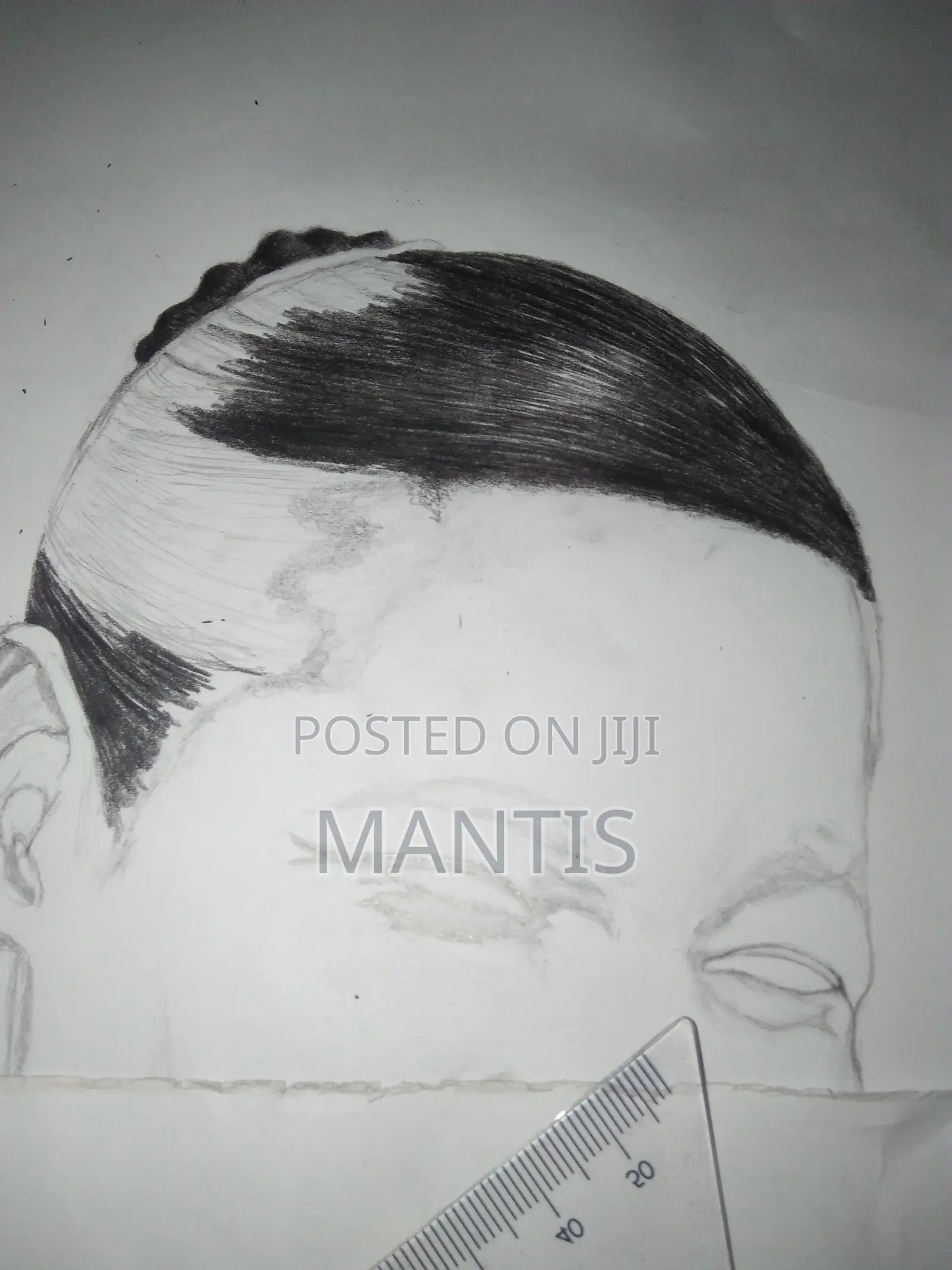 Portrait Drawings