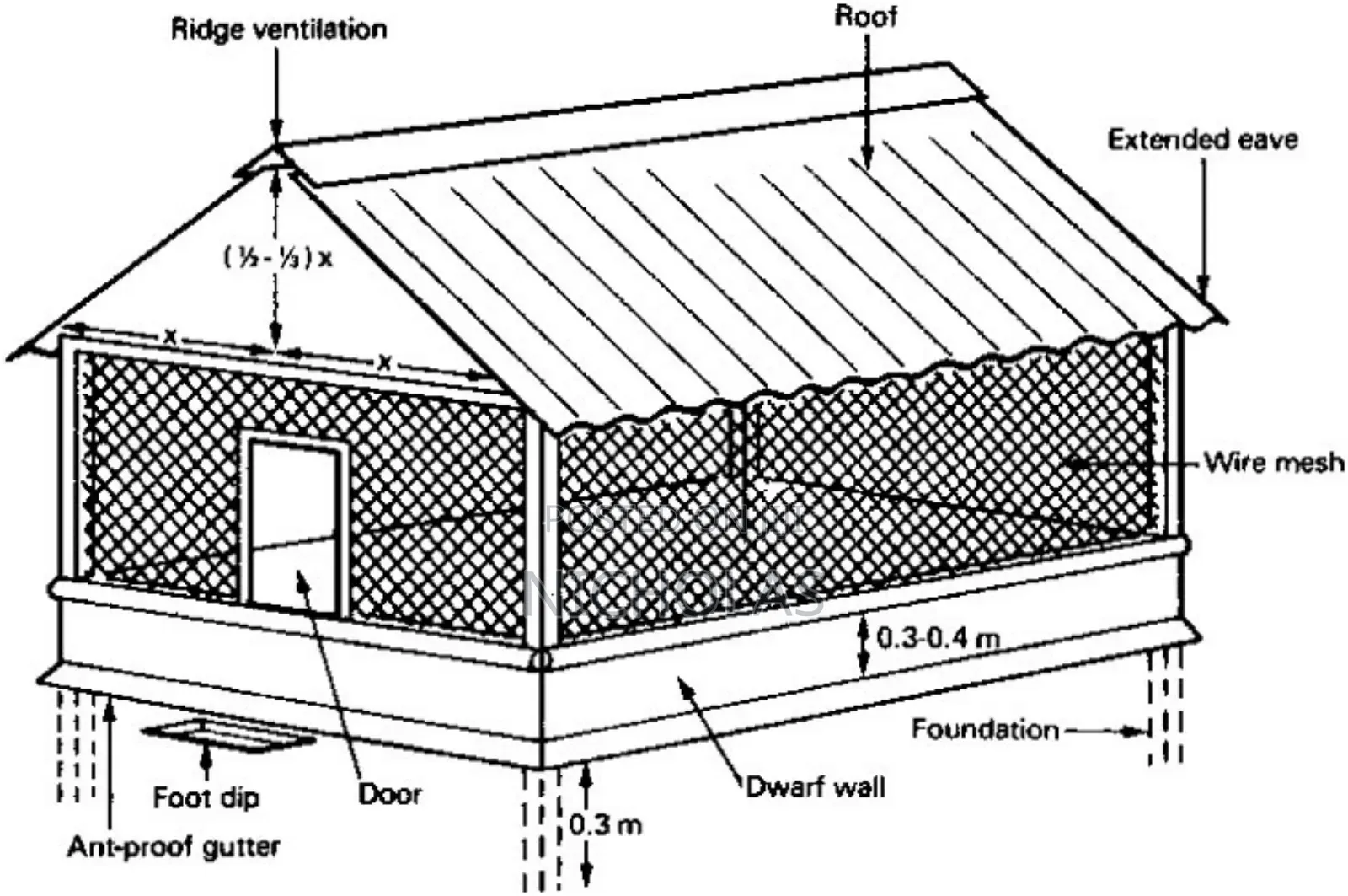 Chicken Coop Construction From 100birds And Above
