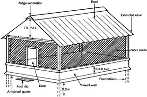 Chicken Coop Construction From 100birds And Above