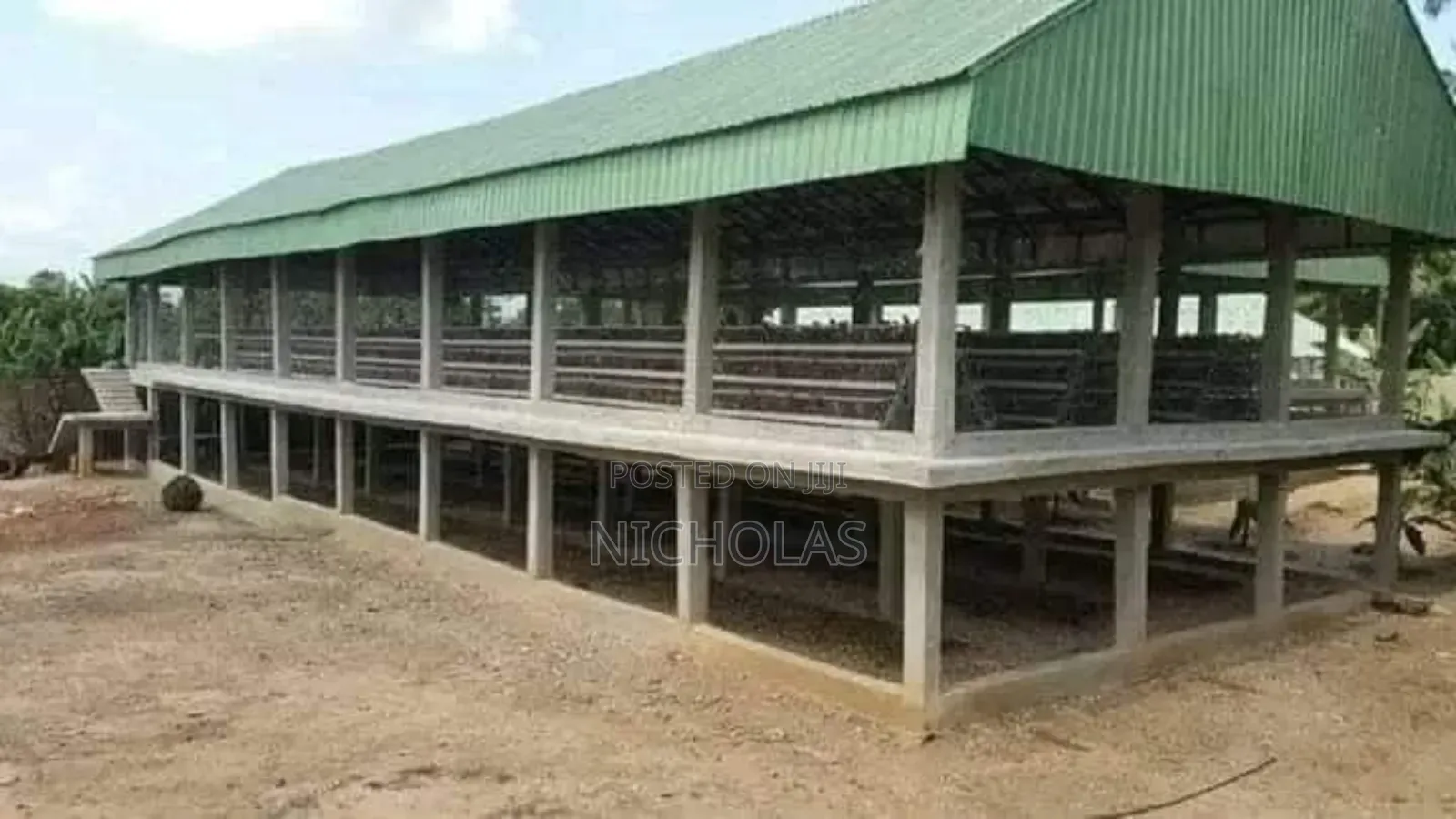 Chicken Coop Construction From 100birds And Above