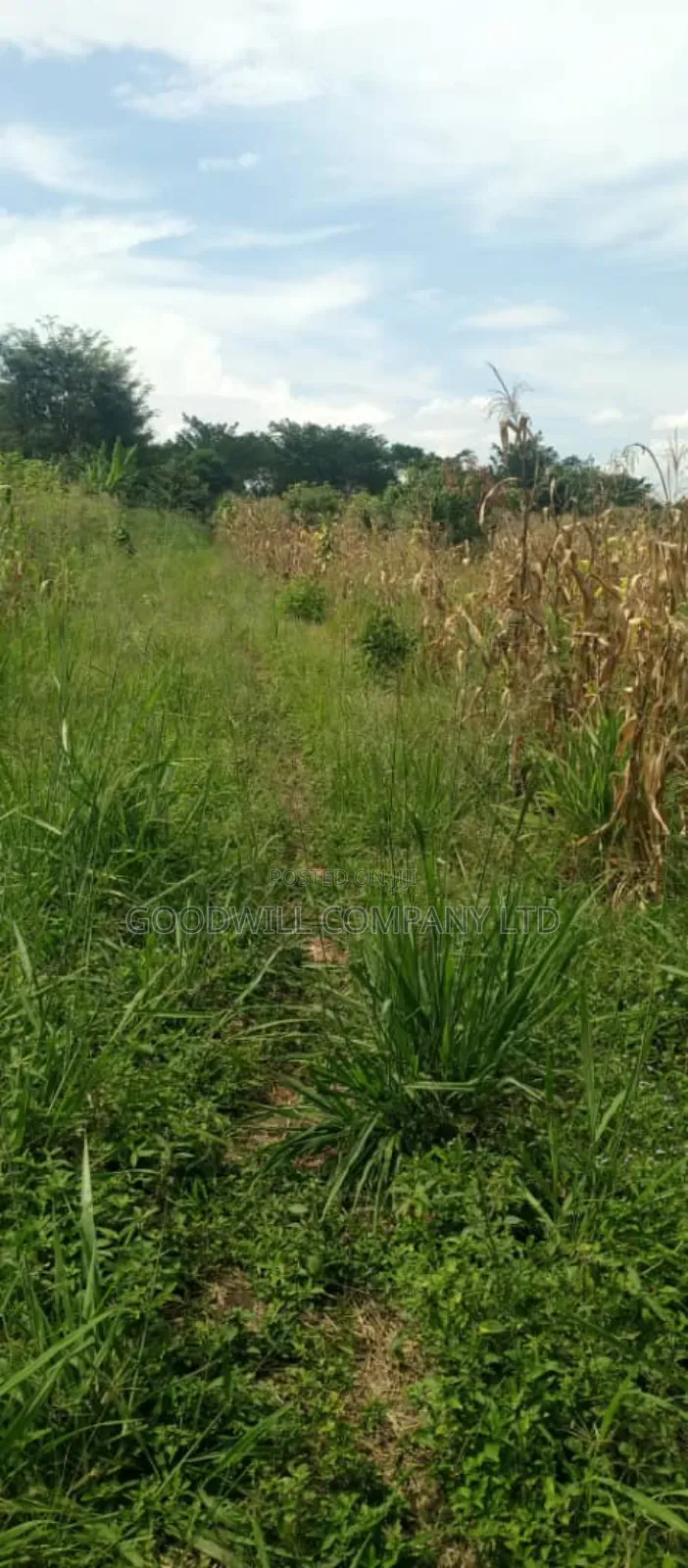 20 Acres of Land in Kamira Kikyuusa