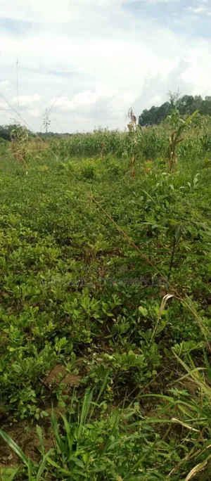 50 Acres of Farming/Agricultural Land in Kikyuusa Kamira