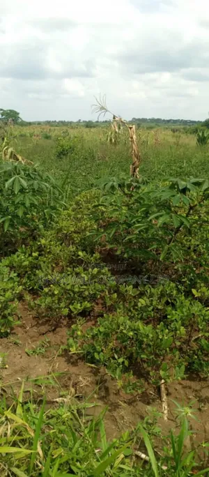 50 Acres of Farming/Agricultural Land in Kikyuusa Kamira