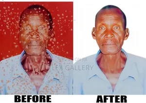 Photo Restoration