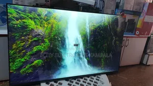60" Lg Smart Flant Screen