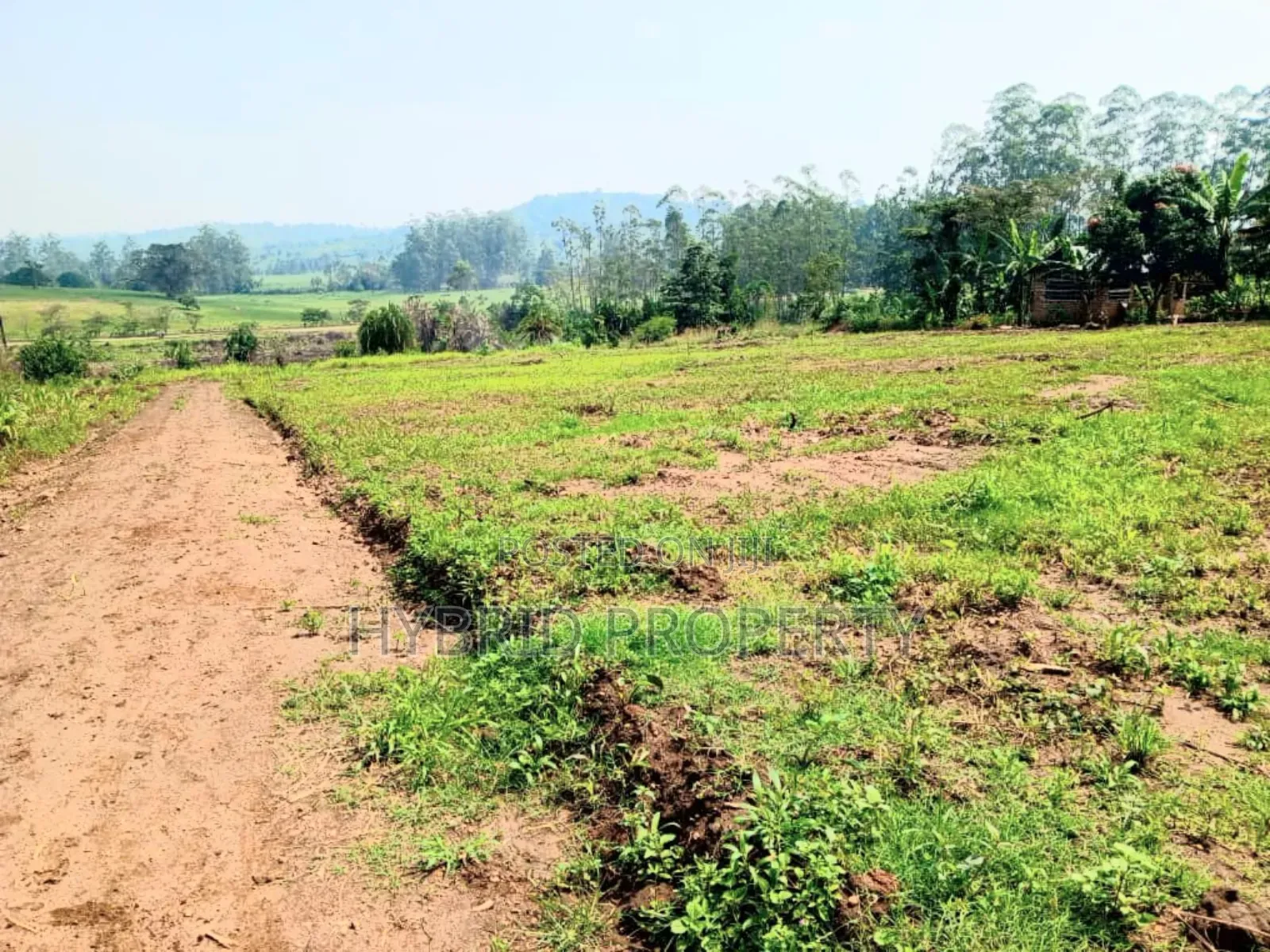 Prime Plots for Sale at Kakiri~Gobero Tarmac View Land Estate~Hoima Rd