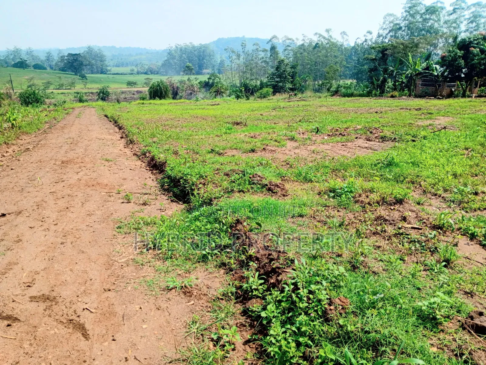 Prime Plots for Sale at Kakiri~Gobero Tarmac View Land Estate~Hoima Rd