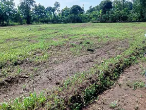 Prime Plots for Sale at Kakiri~Gobero Tarmac View Land Estate~Hoima Rd