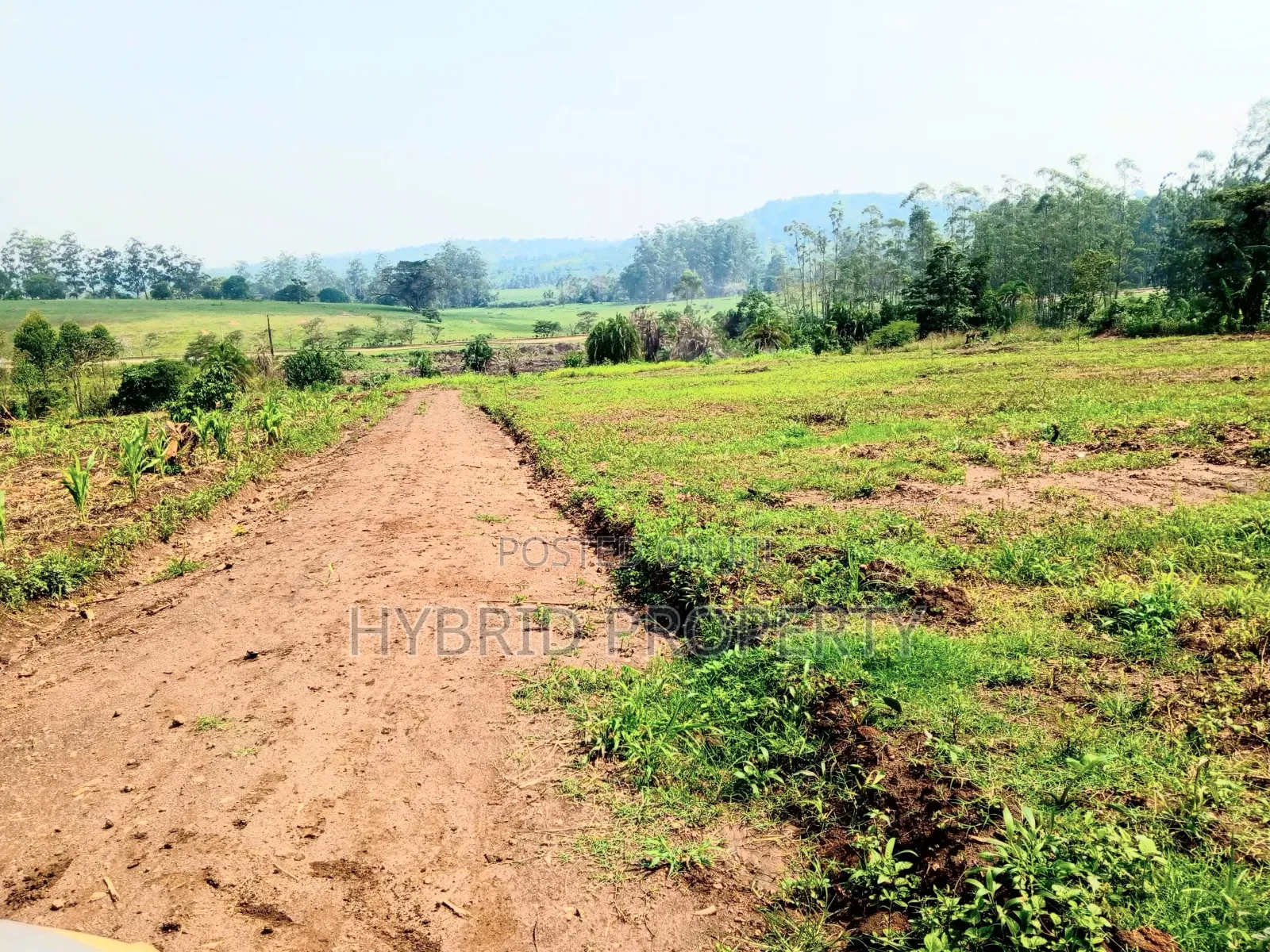 Prime Plots for Sale at Kakiri~Gobero Tarmac View Land Estate~Hoima Rd