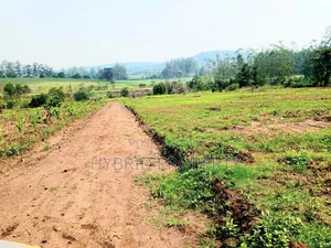 Prime Plots for Sale at Kakiri~Gobero Tarmac View Land Estate~Hoima Rd
