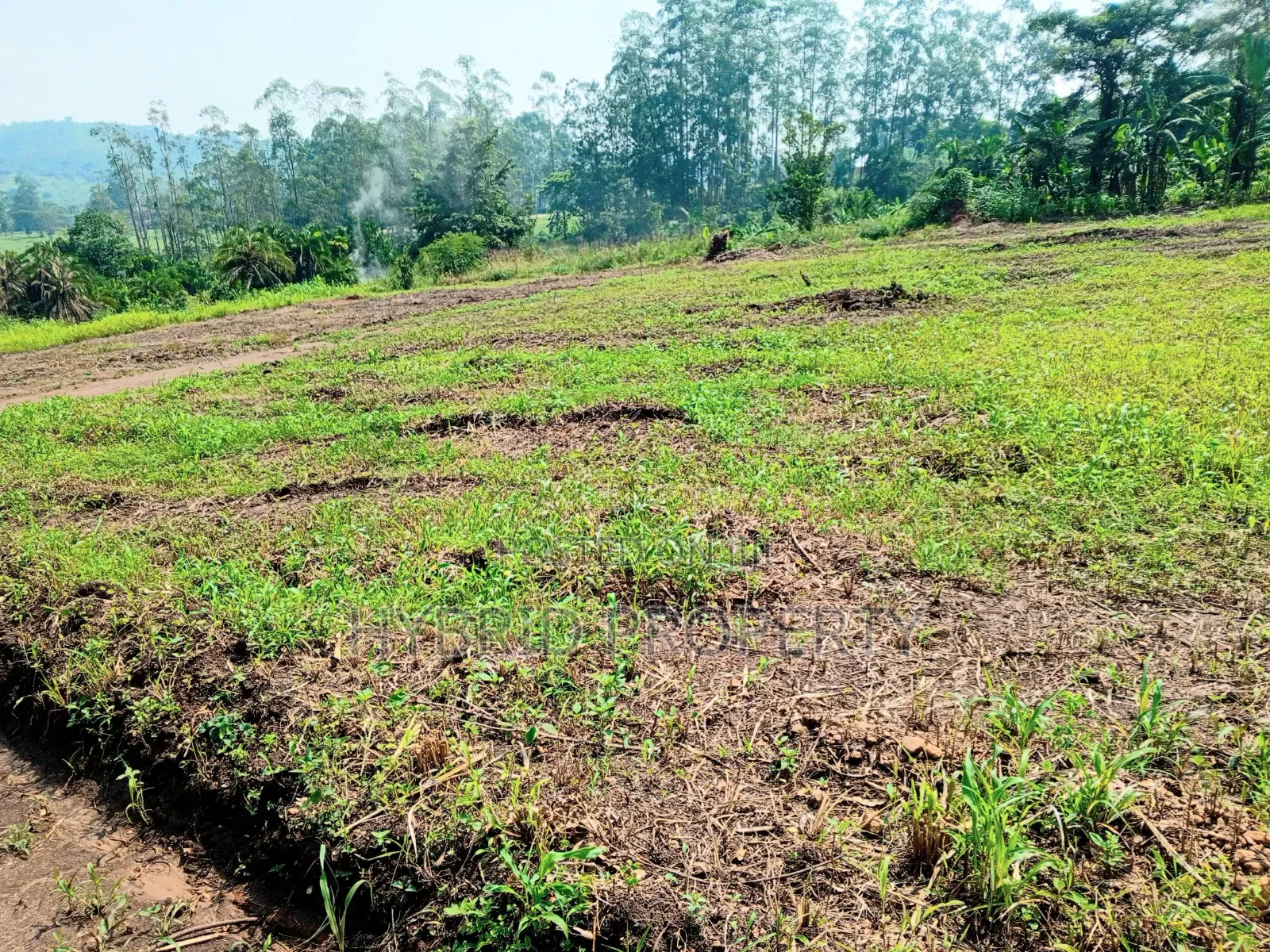 Prime Plots for Sale at Kakiri~Gobero Tarmac View Land Estate~Hoima Rd