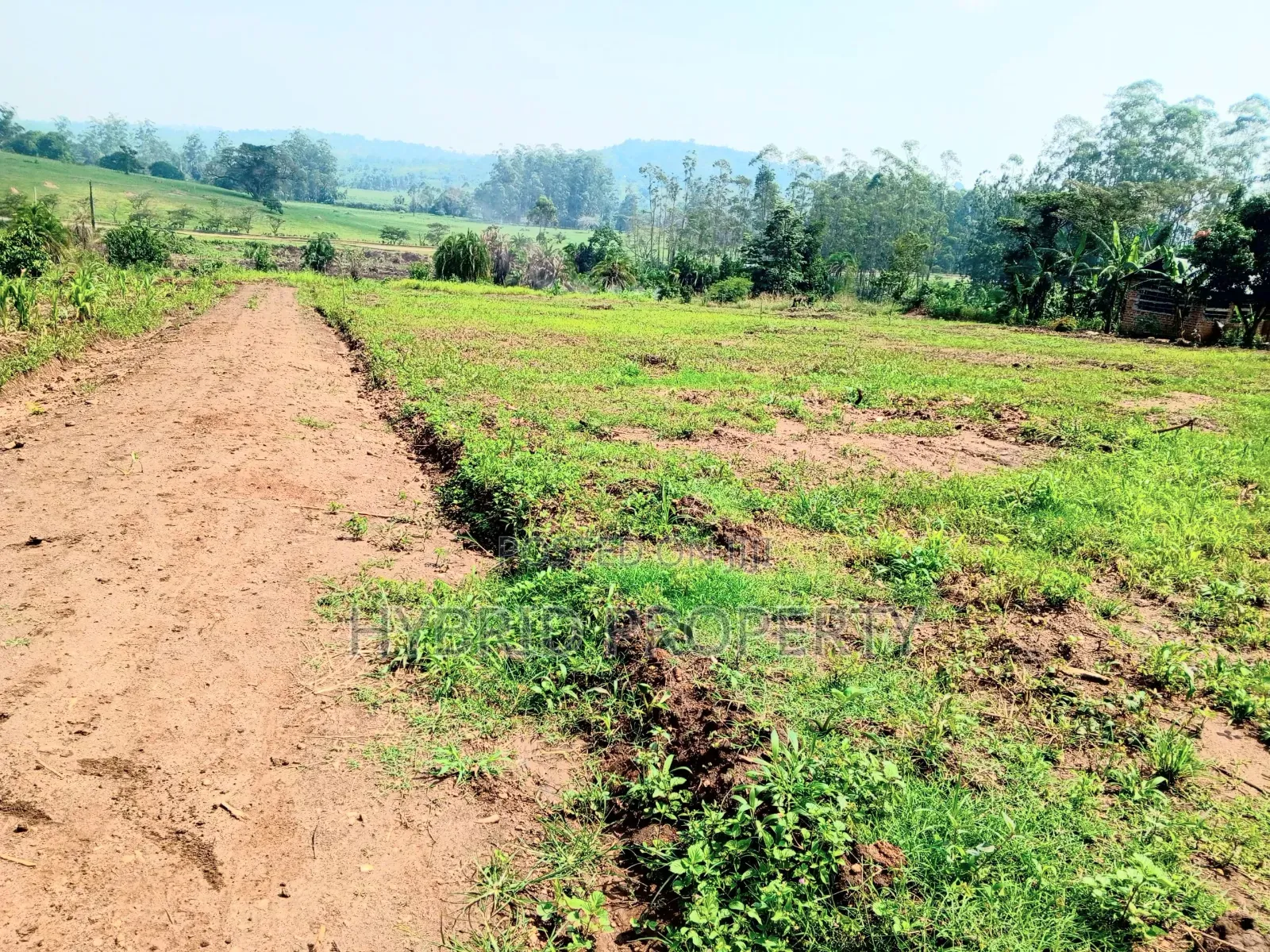 Prime Plots for Sale at Kakiri~Gobero Tarmac View Land Estate~Hoima Rd