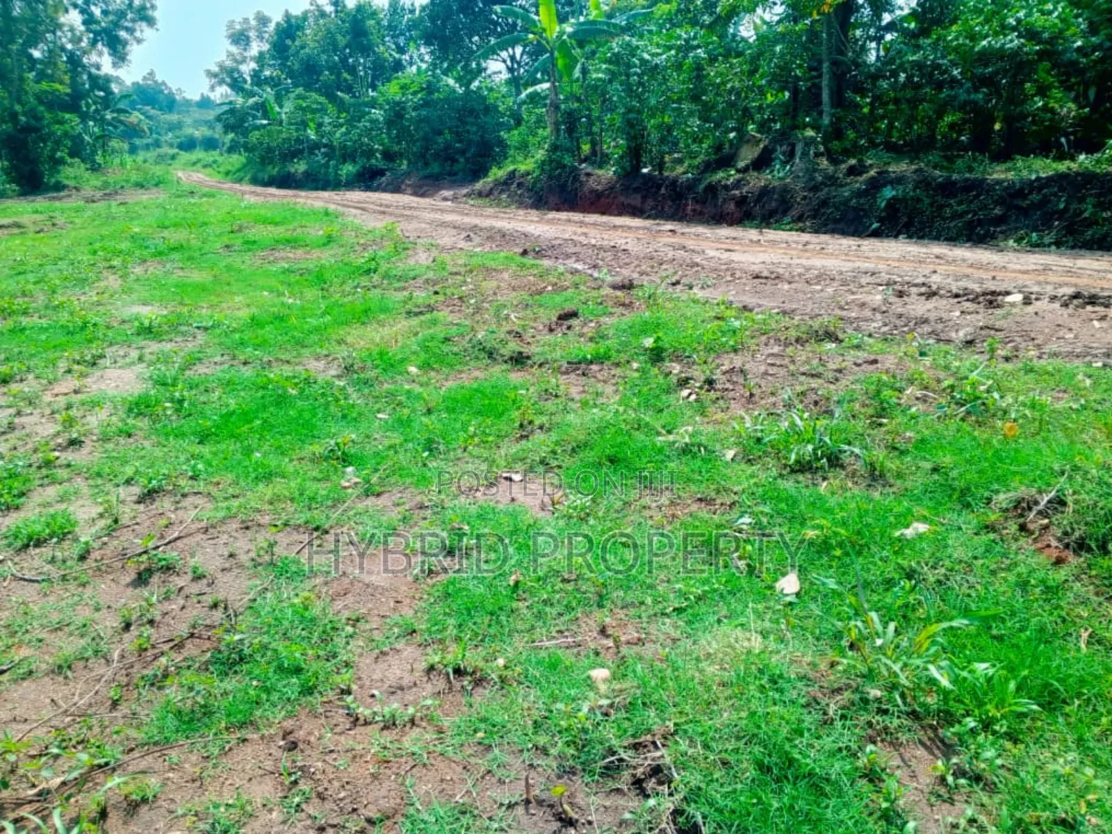 Prime Plots for Sale at Kakiri~Gobero Tarmac View Land Estate~Hoima Rd