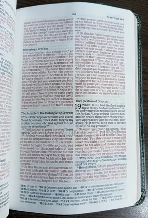 Christian Standard Bible(Csb) With Leather Cover, Medium Size.