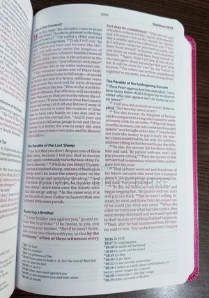 Christian Standard Bible(Csb) for Girls