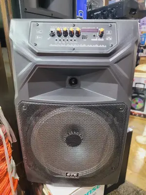 Ctc 12 Inch Rechargeable Speaker