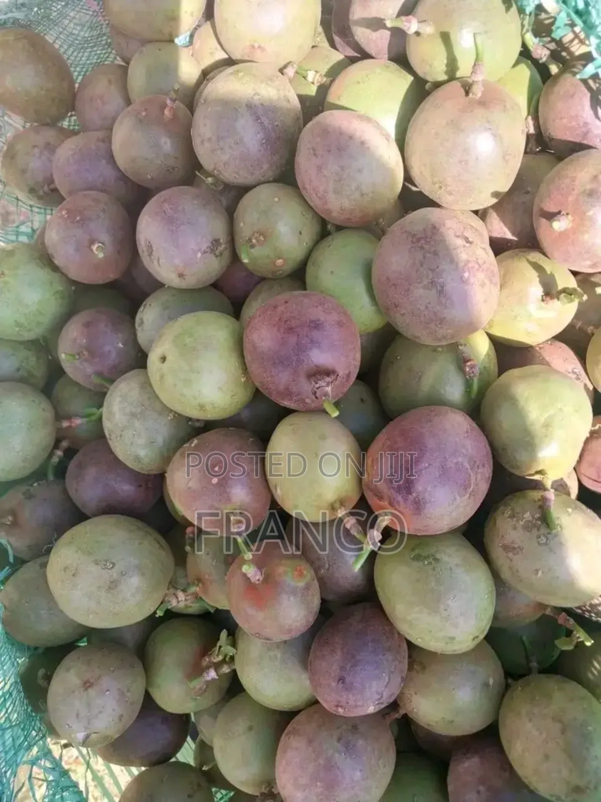 Fresh Passion Fruits