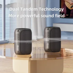 Rechargeable Speaker With Microphone Zealot S62m
