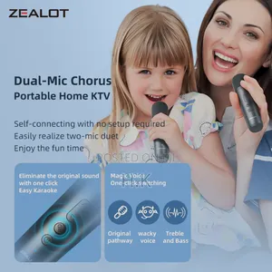 Rechargeable Speaker With Microphone Zealot S62m