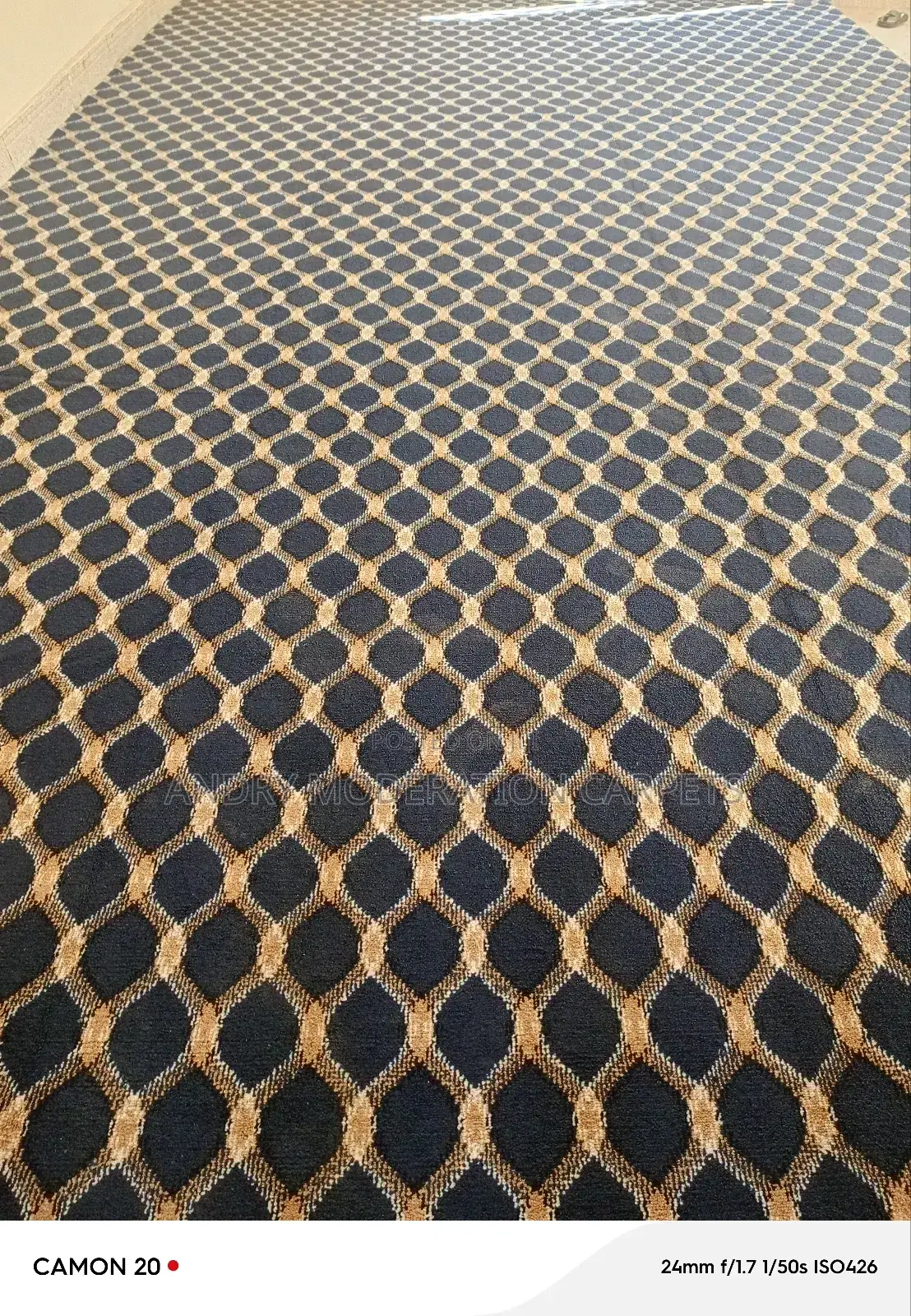 Blue Wall to Wall Woolen Carpets