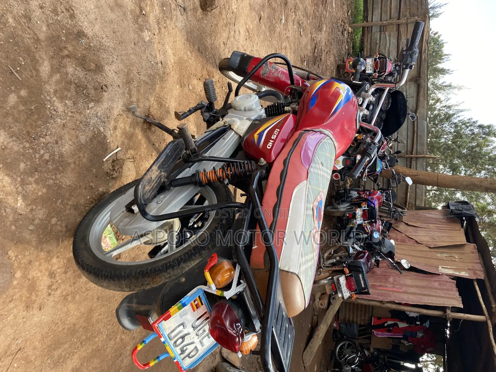 Bajaj CT 125X 2024 Red
