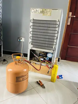 Full Fridge Gas Refilling to 300gms