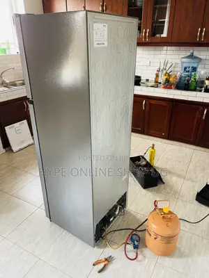 Standard Trusted Fridge Services/Gas Refill/Repairs