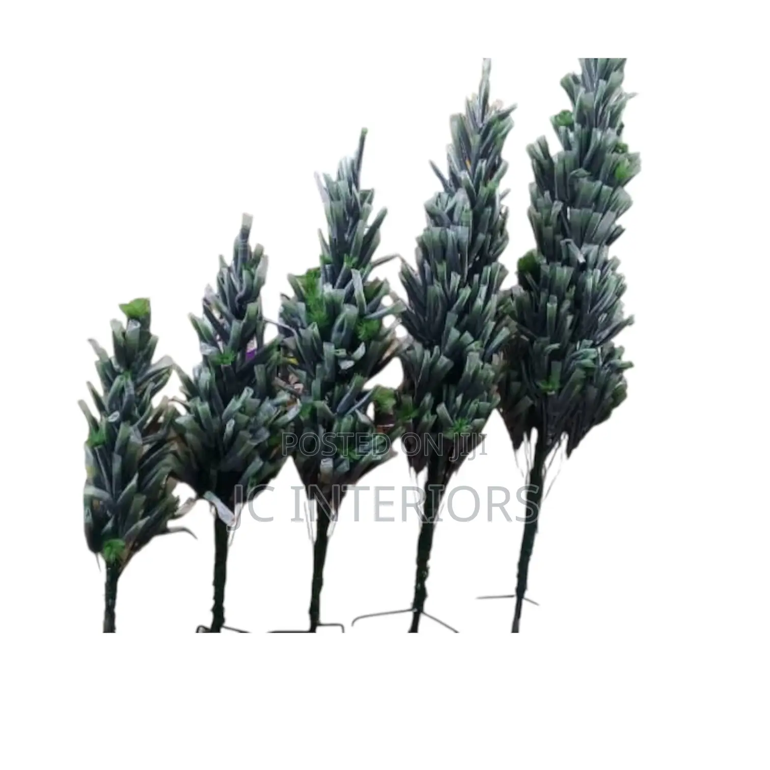 Christmas Trees - Merry