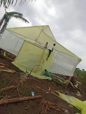 We Build Greenhouse For All Crops
