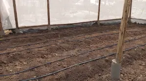 We Build Greenhouse For All Crops
