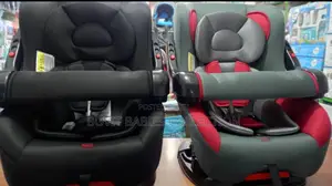 Modified Infant Car Seat