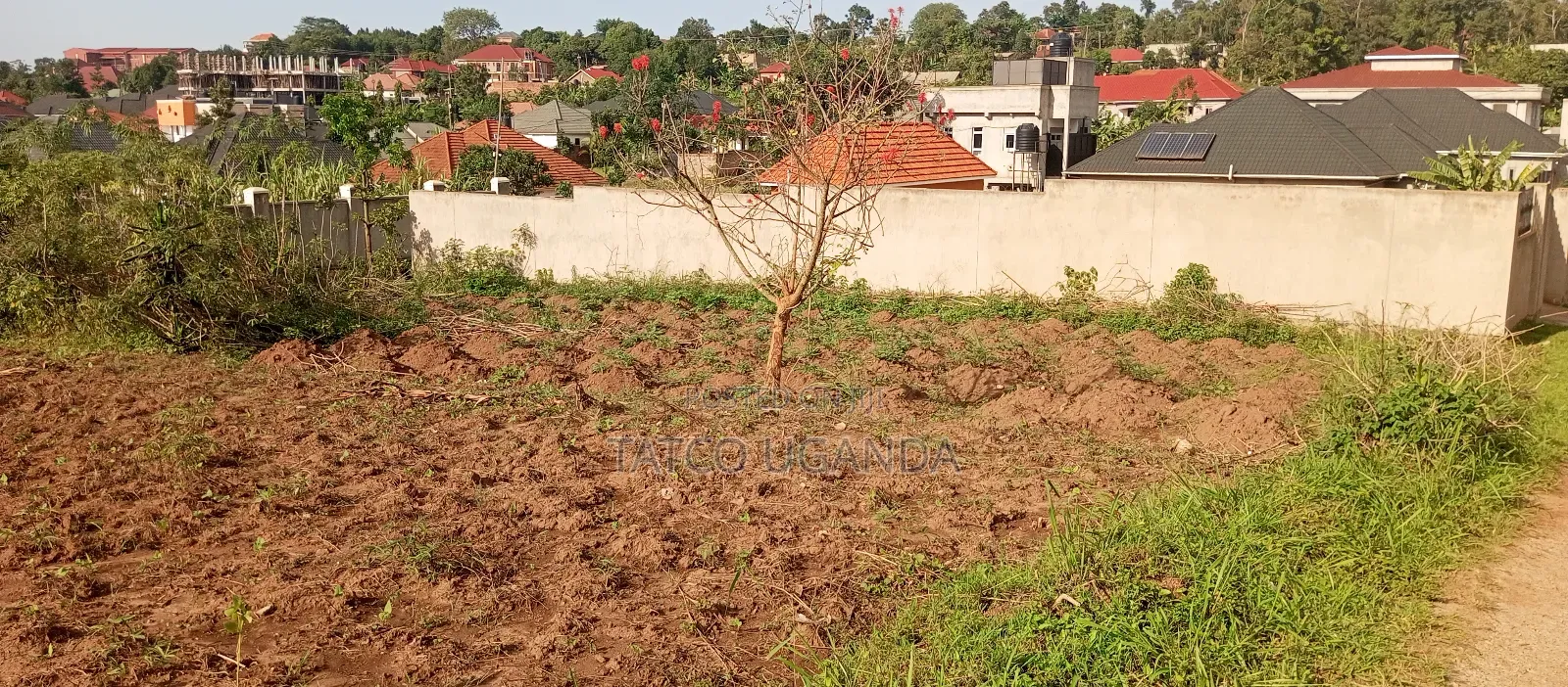 Titled Plot of Land for Quick Sale in Jogo- Mukono