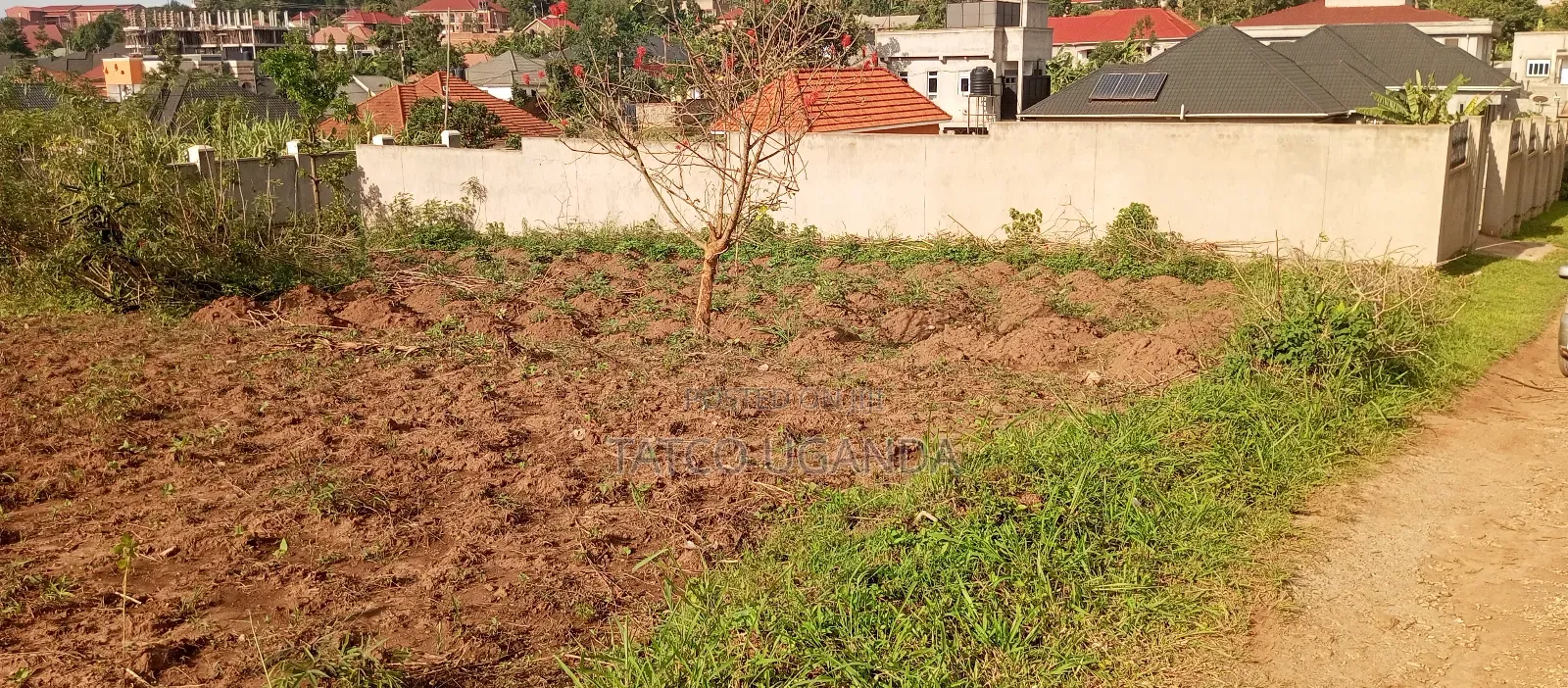 Titled Plot of Land for Quick Sale in Jogo- Mukono