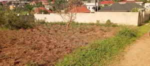 Titled Plot of Land for Quick Sale in Jogo- Mukono