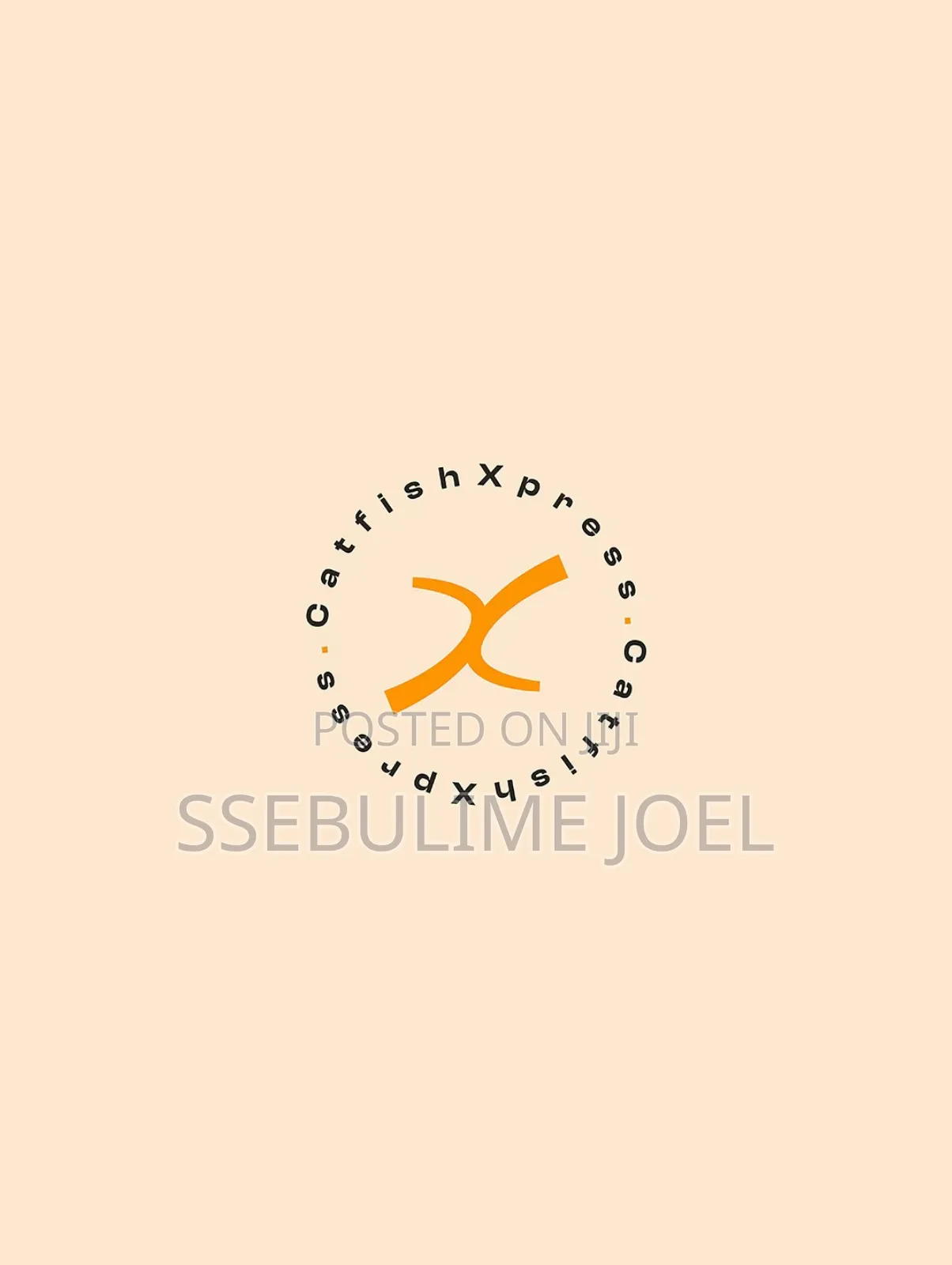 Logo and Visual Brand Identity